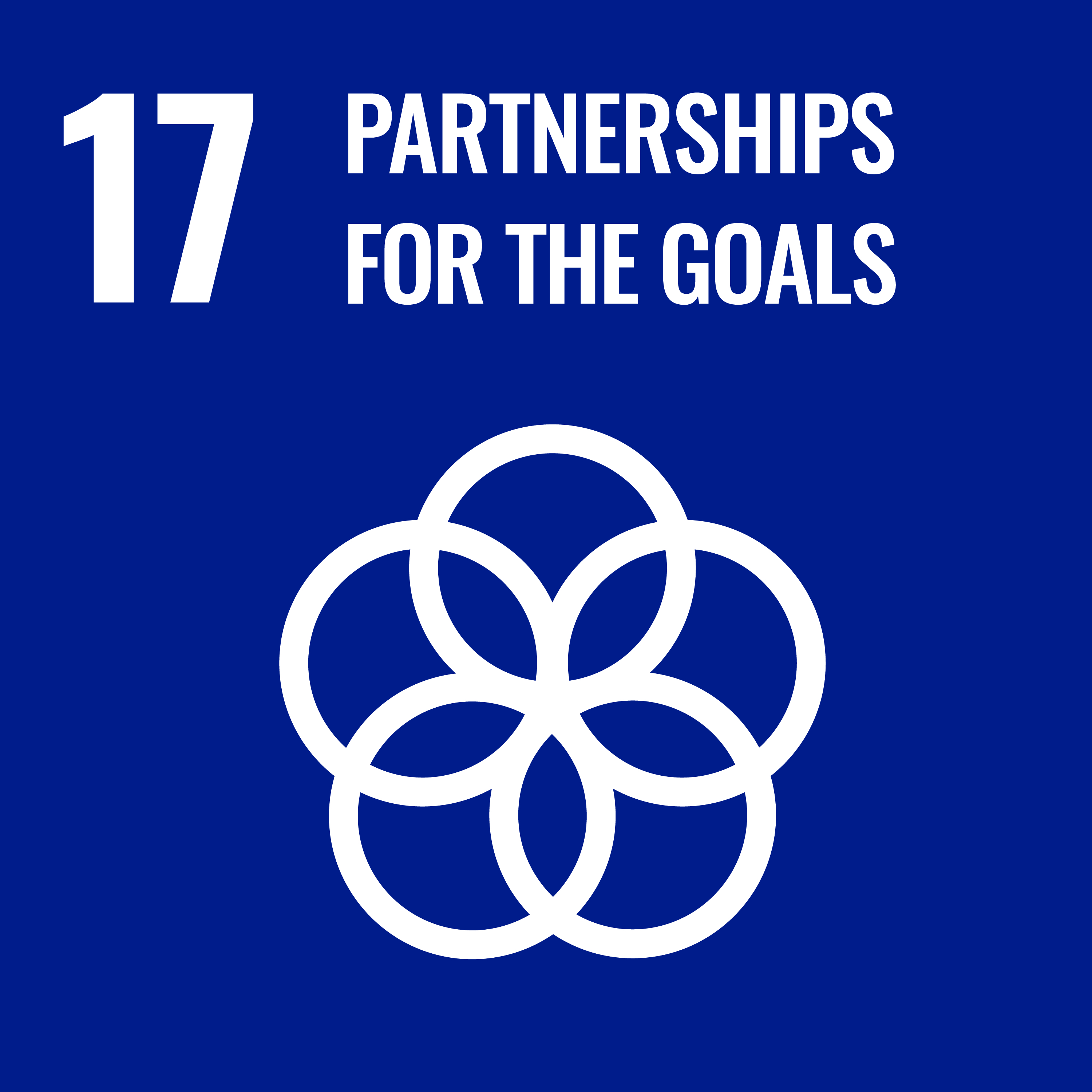 Sustainable Development Goal 17: Partnerships for the Goals