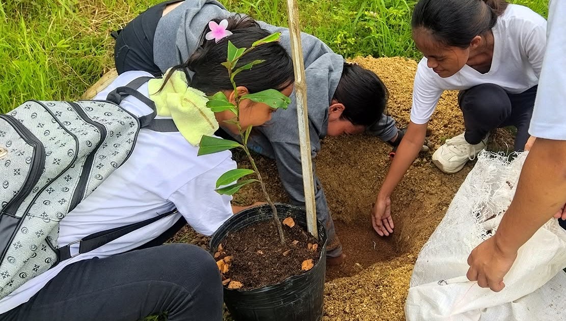 Advancing Reforestation Through Bamboo and Kamagong Transplanting