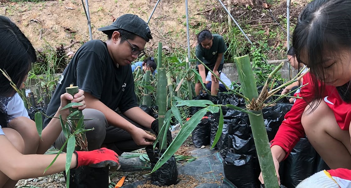 Continuing the Work: Bamboo Propagation at CTU-Barili
