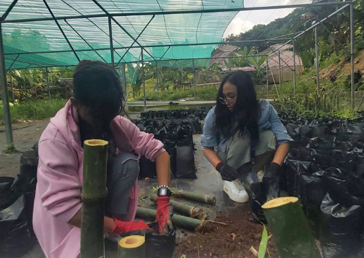 Learning Through Propagation: Black Bamboo Orientation for BEEd Students