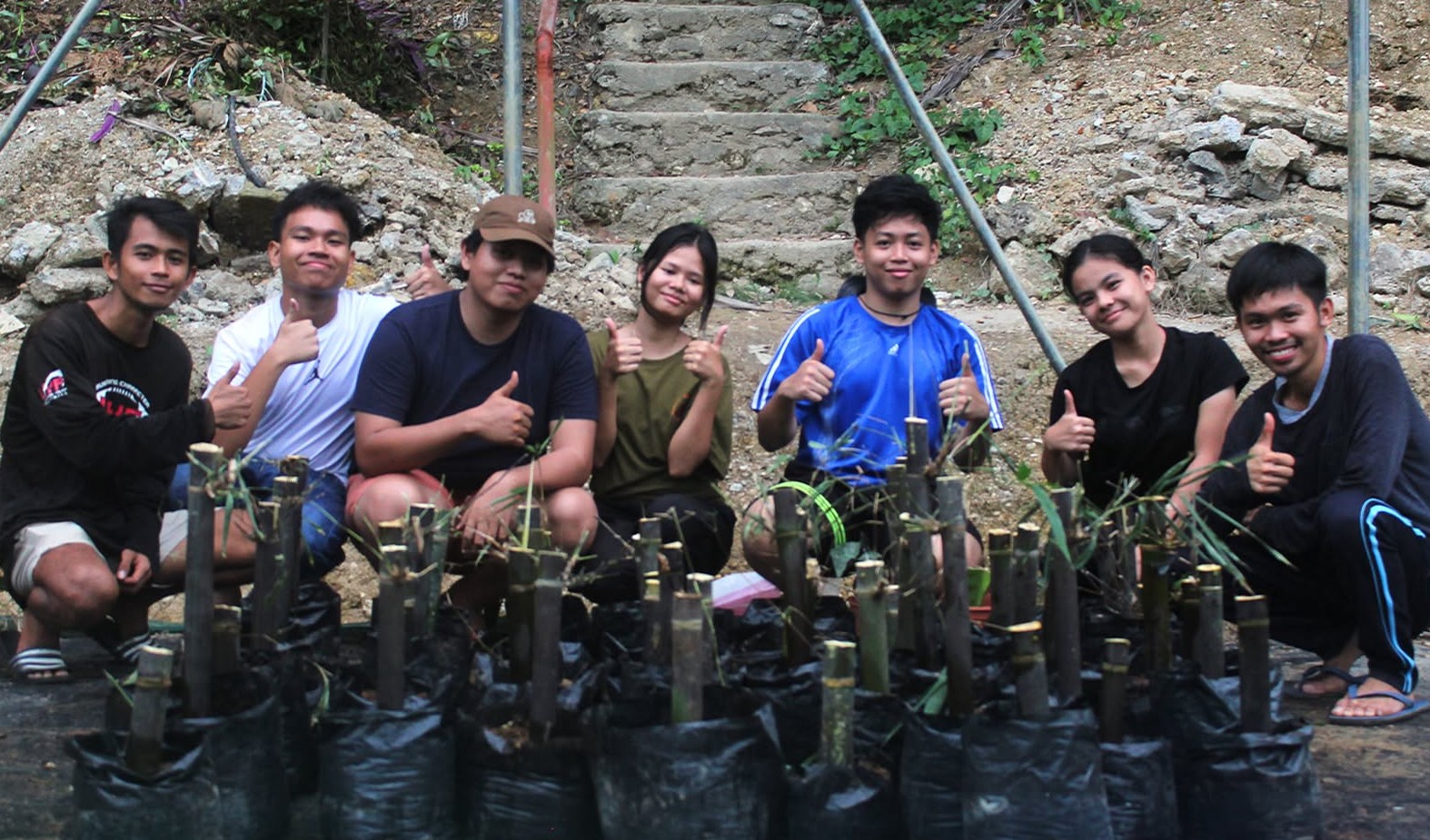 Propagating Black Bamboo for a More Resilient Landscape