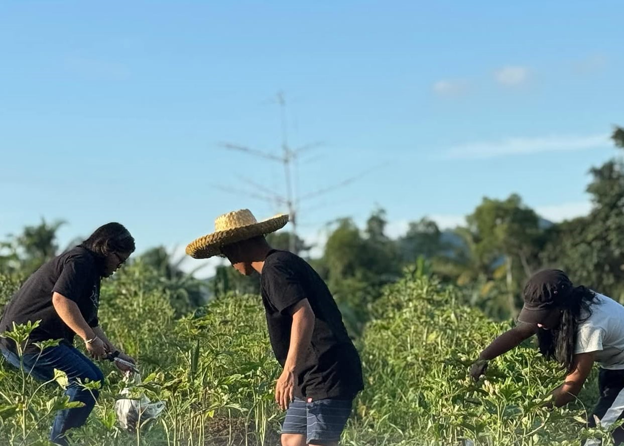Subang - CTU Leads Another Successful Harvesting Session for Paglaum Farm Project