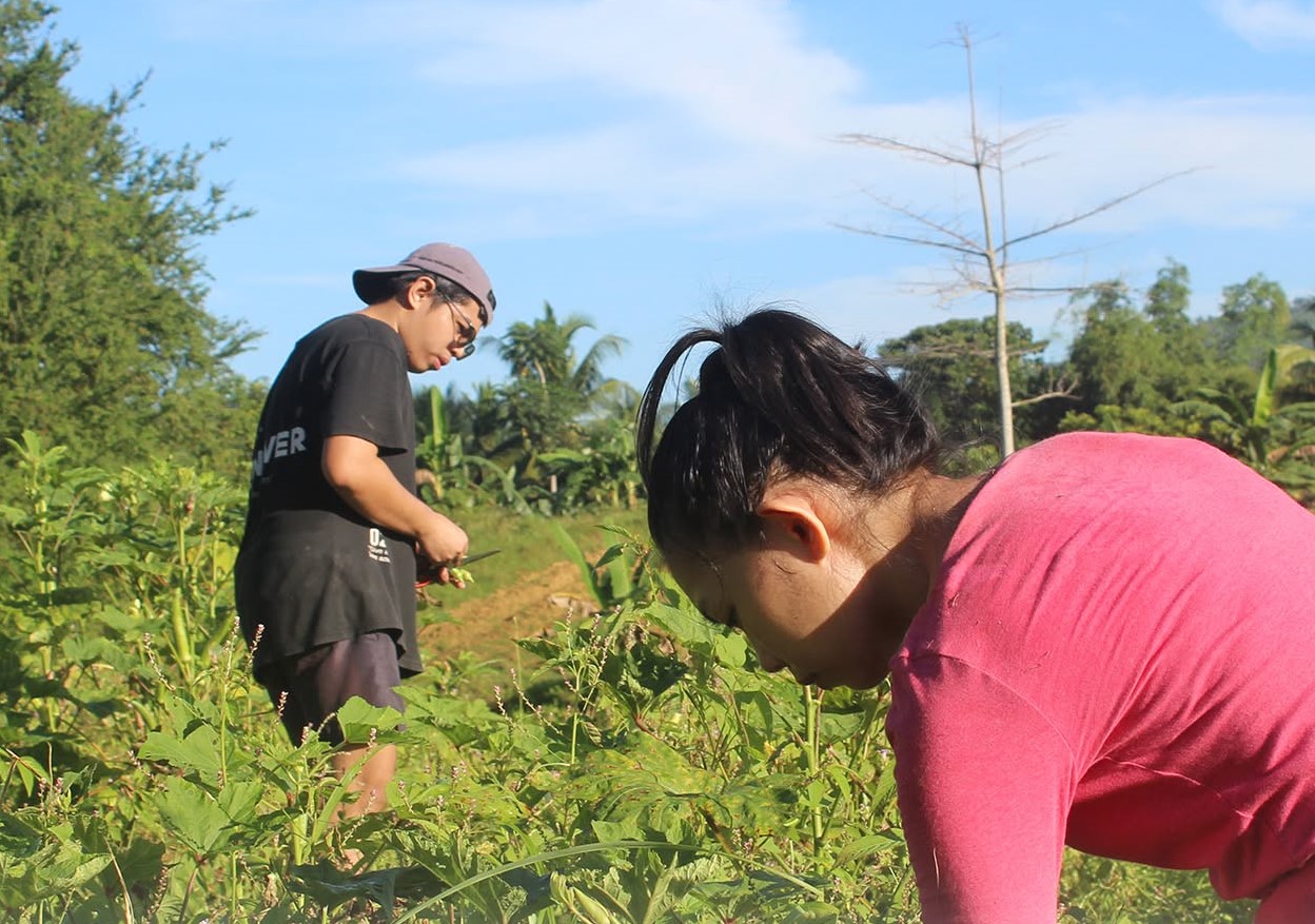 Paglaum Farm Continues Its Food Security Efforts